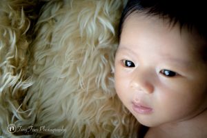 タイニートーズ新生児フォトニューボーンフォト男の子生後0ヶ月赤ちゃん